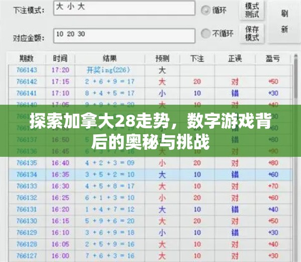 探索加拿大28走势，数字游戏背后的奥秘与挑战