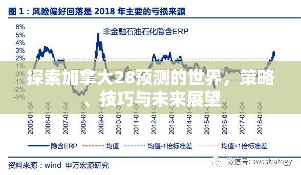 探索加拿大28预测的世界，策略、技巧与未来展望