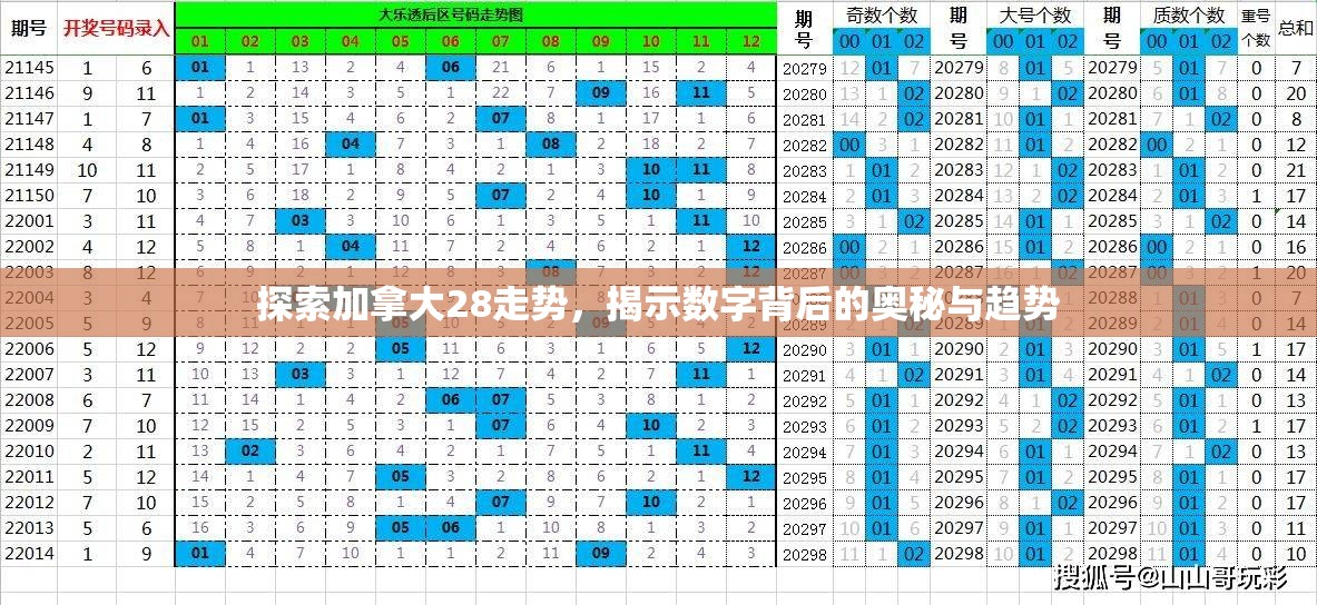 探索加拿大28走势，揭示数字背后的奥秘与趋势