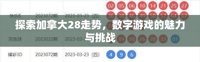 探索加拿大28的魅力与神秘