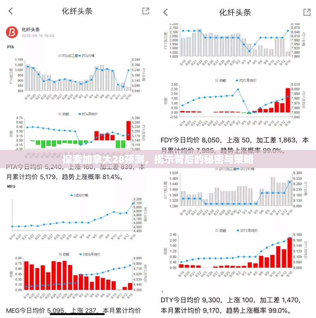 探索加拿大28预测，揭示背后的秘密与策略