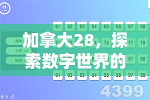 加拿大28，探索数字世界的无限魅力