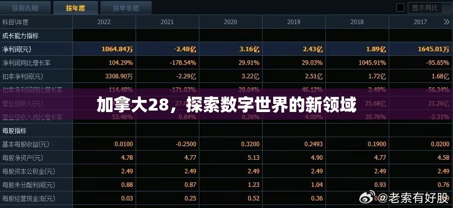 加拿大28，探索数字世界的新领域