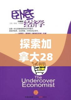 探索加拿大28预测，揭示背后的秘密与策略