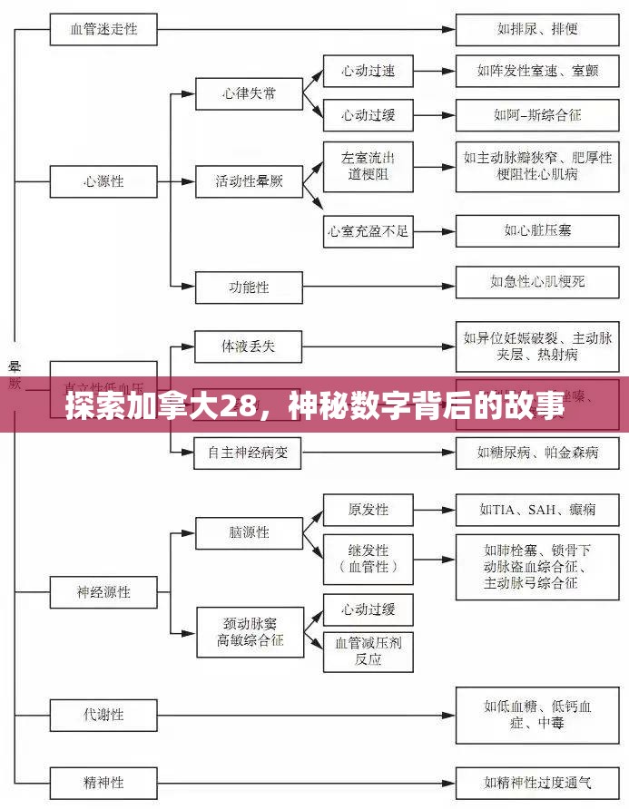 探索加拿大28，神秘数字背后的故事