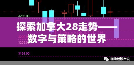 探索加拿大28走势——数字与策略的世界