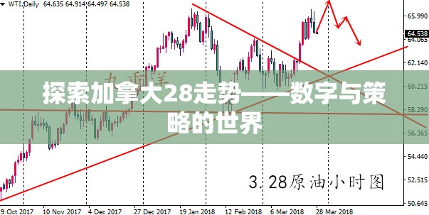 探索加拿大28走势——数字与策略的世界