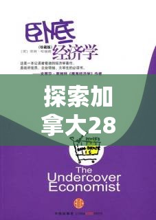 探索加拿大28预测，揭示背后的秘密与策略