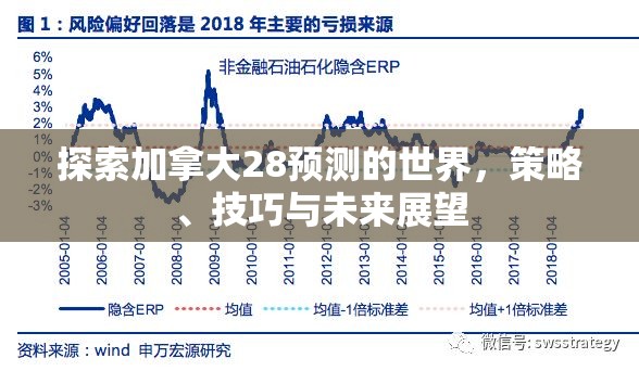 探索加拿大28预测的世界，策略、技巧与未来展望