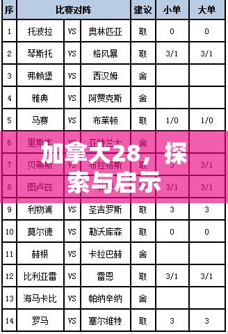 加拿大28，探索与启示