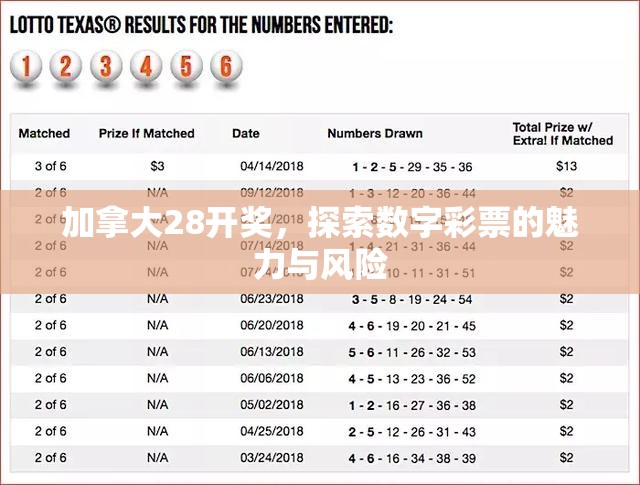 加拿大28开奖，探索数字彩票的魅力与风险