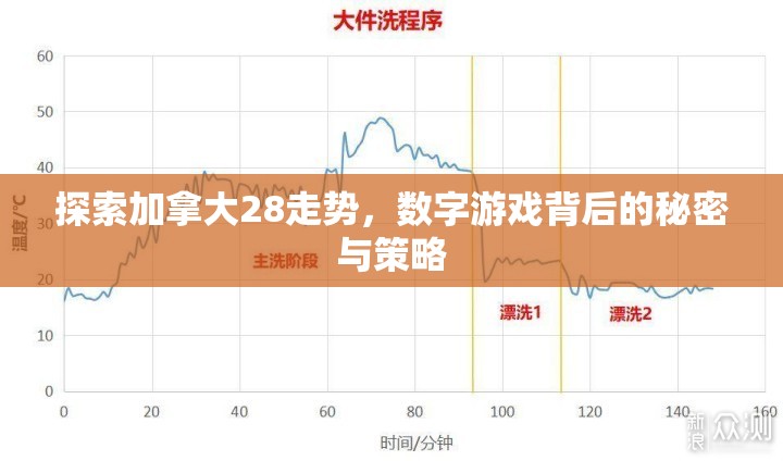 探索加拿大28走势，数字游戏背后的秘密与策略