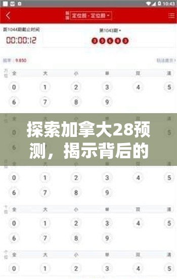 探索加拿大28预测，揭示背后的秘密与策略