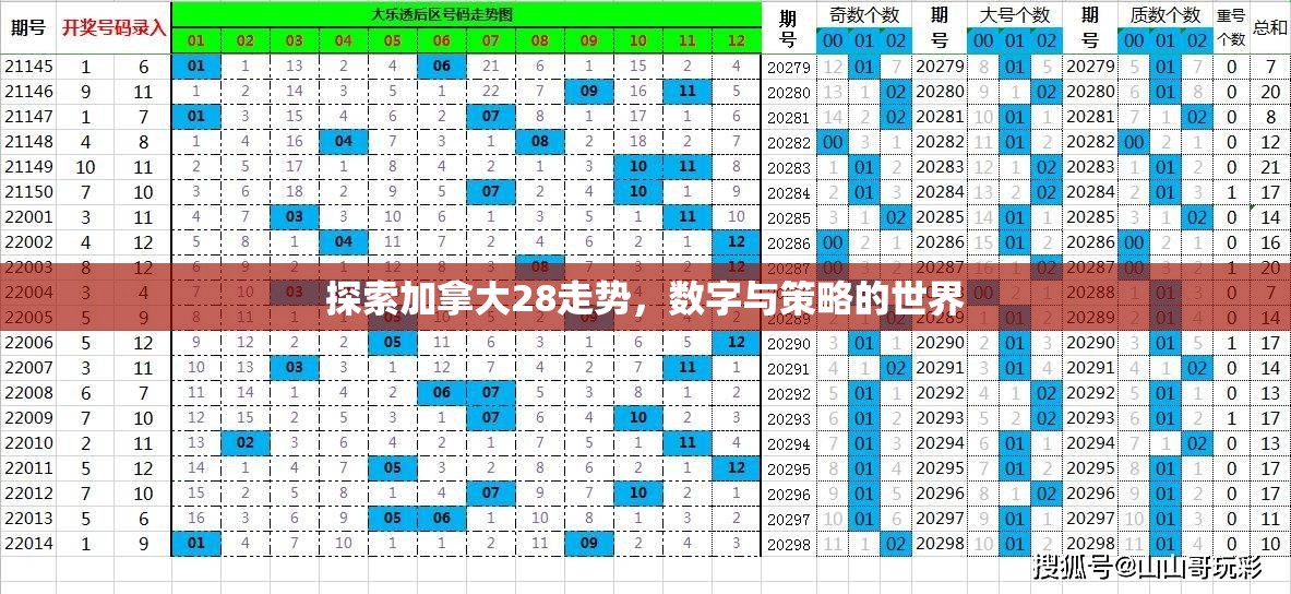 探索加拿大28走势，数字与策略的世界