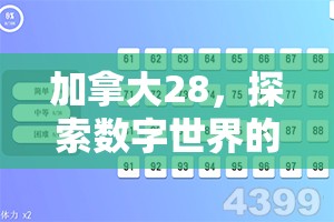 加拿大28，探索数字世界的全新魅力