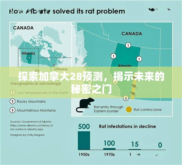 探索加拿大28预测，揭示未来的秘密之门