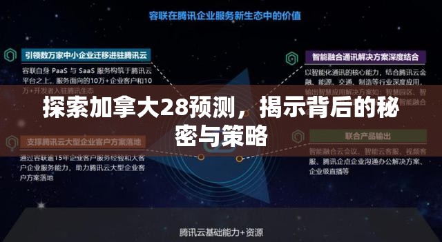 探索加拿大28预测，揭示背后的秘密与策略