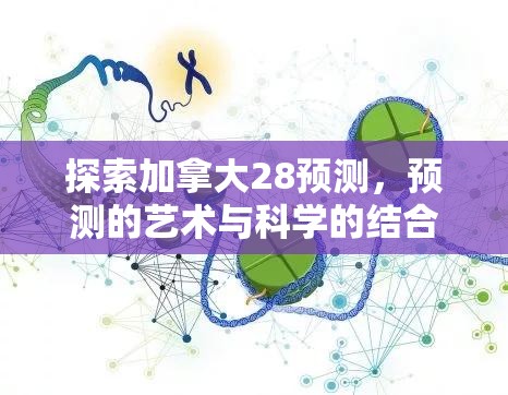 探索加拿大28预测，预测的艺术与科学的结合