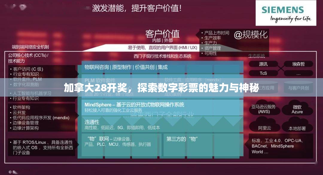 加拿大28开奖，探索数字彩票的魅力与神秘