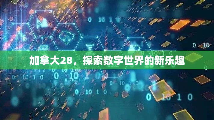 加拿大28，探索数字世界的新乐趣