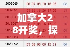 加拿大28开奖，探索数字彩票的魅力与风险