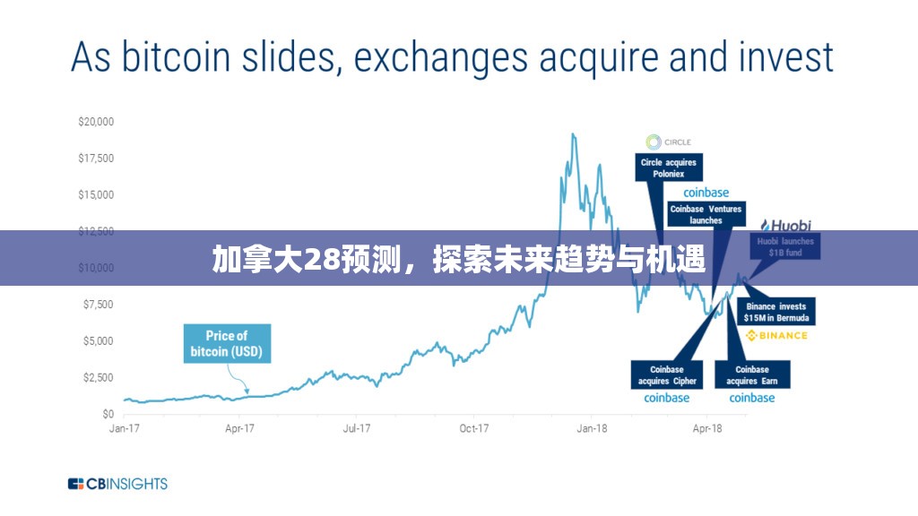 加拿大28预测，探索未来趋势与机遇