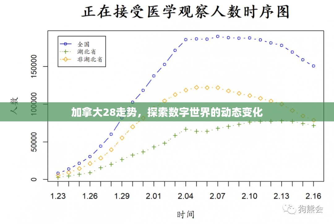 加拿大28走势，探索数字世界的动态变化