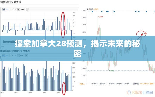 探索加拿大28预测，揭示未来的秘密