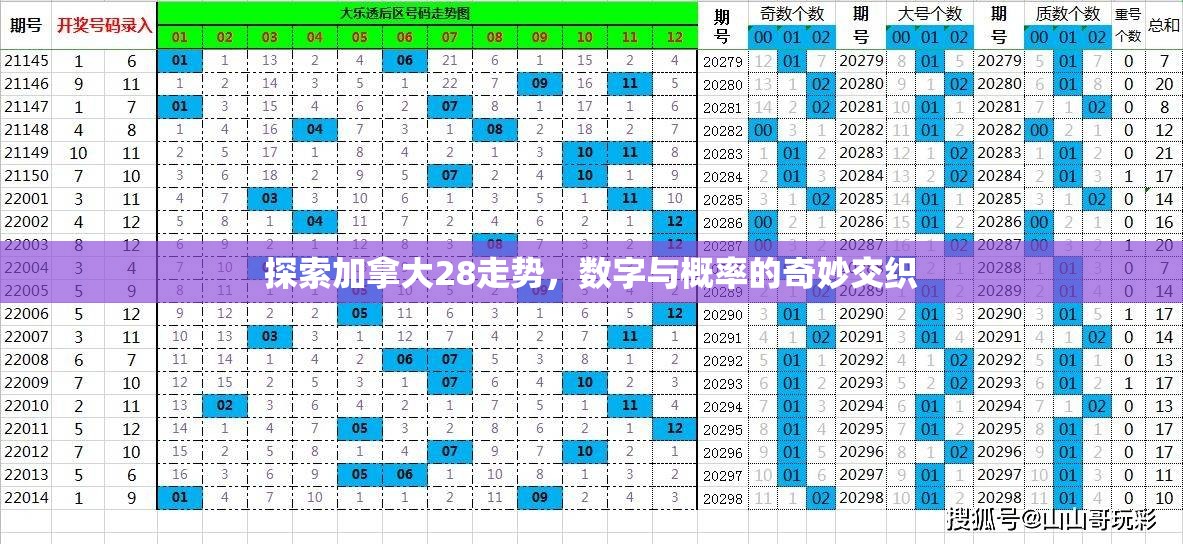 探索加拿大28走势，数字与概率的奇妙交织