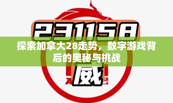 探索加拿大28走势，数字游戏背后的奥秘与挑战