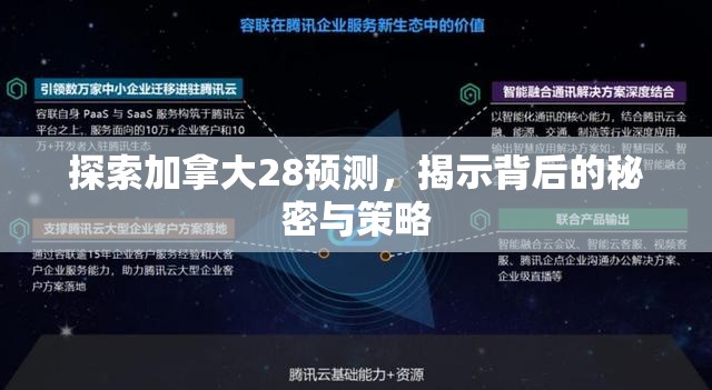 探索加拿大28预测，揭示背后的秘密与策略