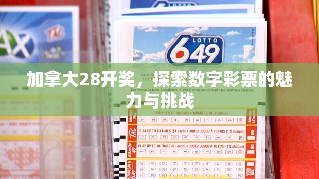 加拿大28开奖，探索数字彩票的魅力与挑战