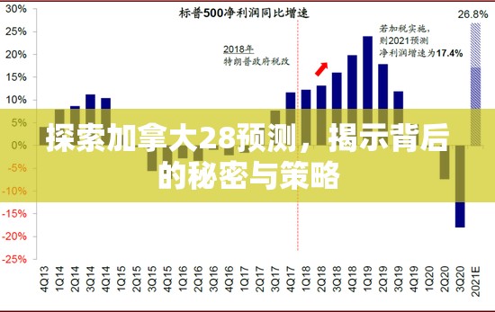 探索加拿大28预测，揭示背后的秘密与策略