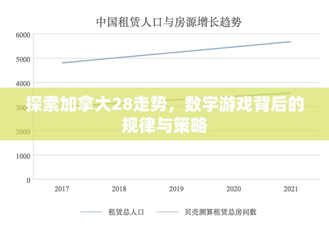 加拿大28，探索与体验