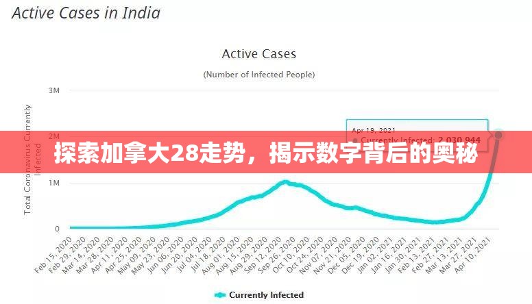 探索加拿大28走势，揭示数字背后的奥秘