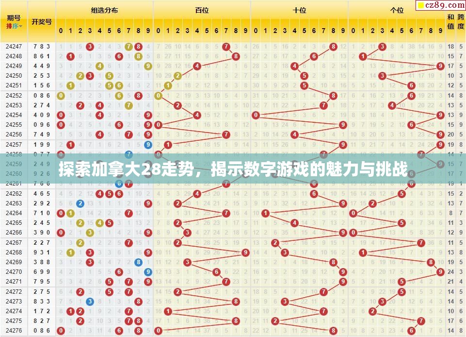 探索加拿大28走势，揭示数字游戏的魅力与挑战