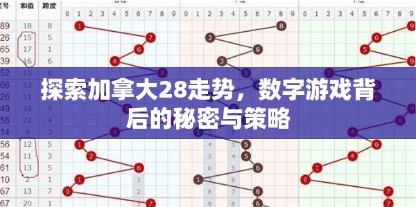 探索加拿大28走势，数字游戏背后的秘密与策略