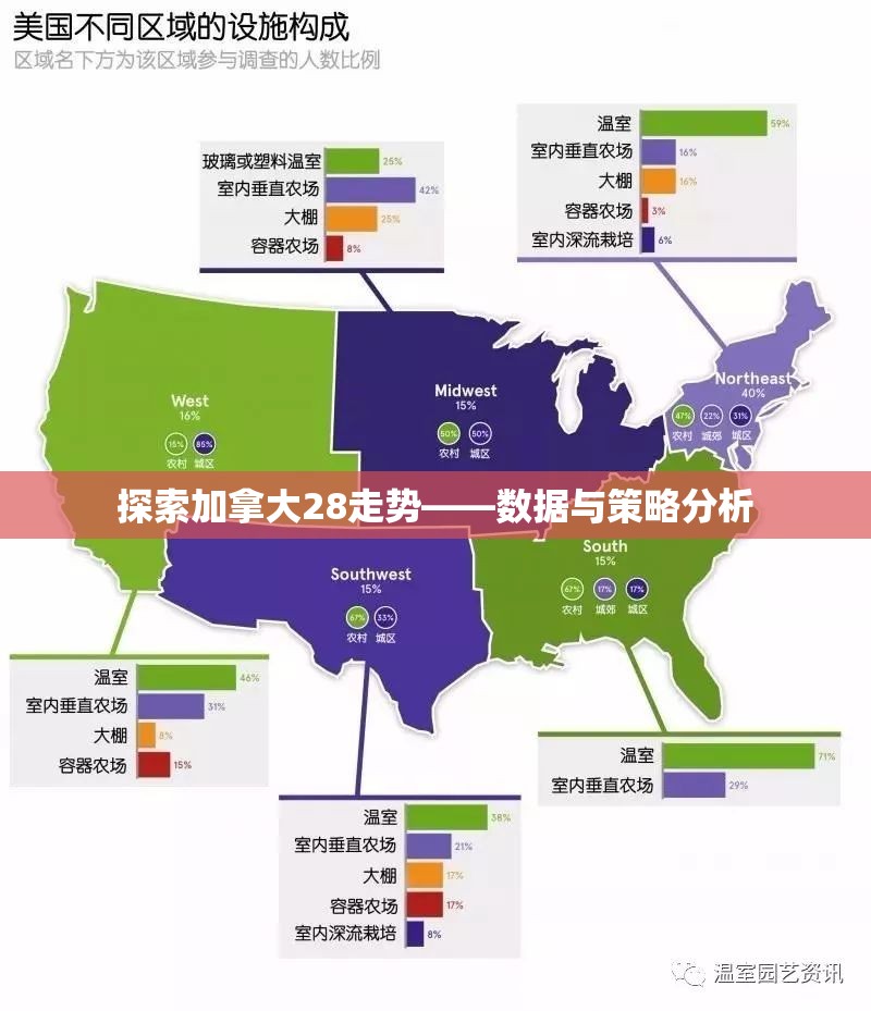 探索加拿大28走势——数据与策略分析