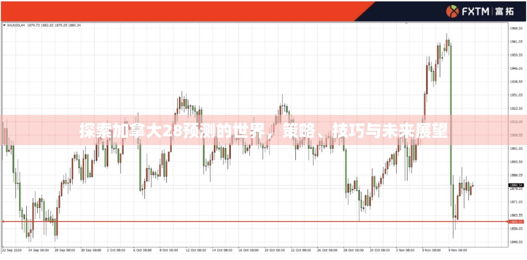 探索加拿大28预测的世界，策略、技巧与未来展望