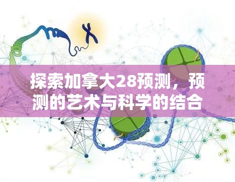 探索加拿大28预测，预测的艺术与科学的结合