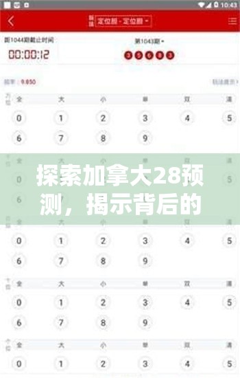 探索加拿大28预测，揭示背后的秘密与策略