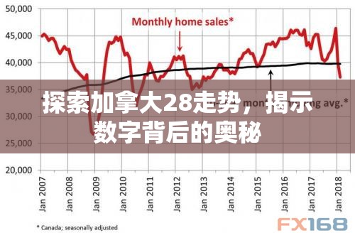 探索加拿大28走势，揭示数字背后的奥秘