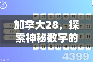 加拿大28，探索神秘数字的魅力与机遇