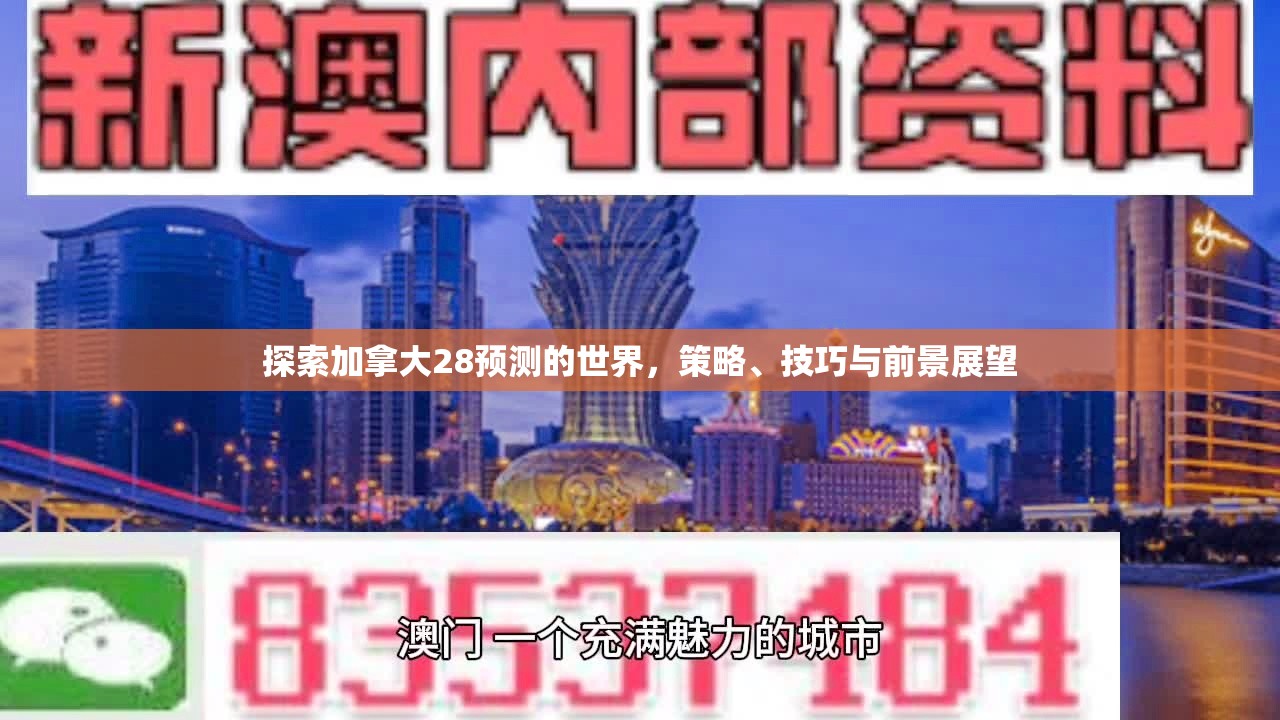 探索加拿大28预测的世界，策略、技巧与前景展望