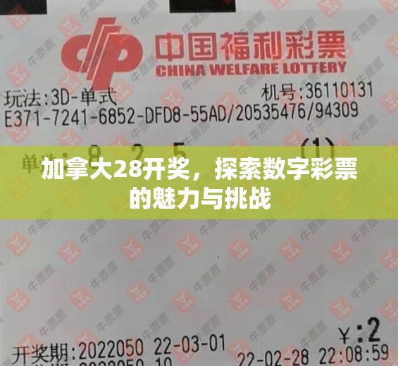 加拿大28开奖，探索数字彩票的魅力与挑战