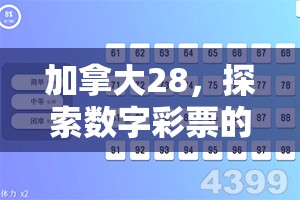 加拿大28，探索数字彩票的新领域