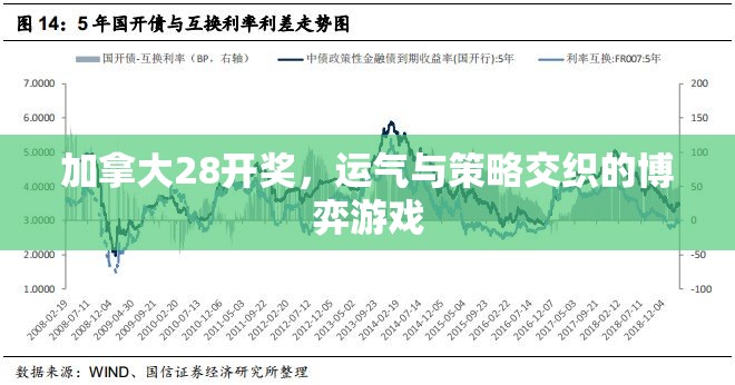 加拿大28开奖，运气与策略交织的博弈游戏