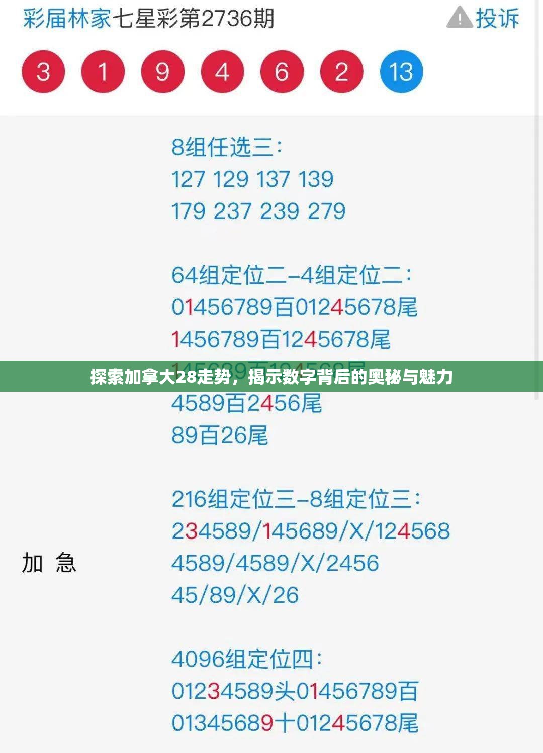 探索加拿大28走势，揭示数字背后的奥秘与魅力