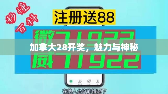 加拿大28开奖，魅力与神秘