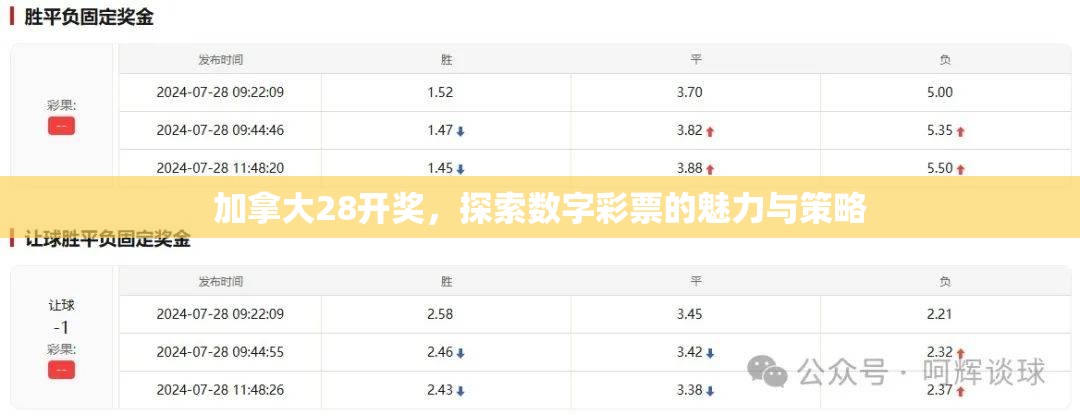 加拿大28开奖，探索数字彩票的魅力与策略